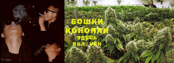 сатива Алексин